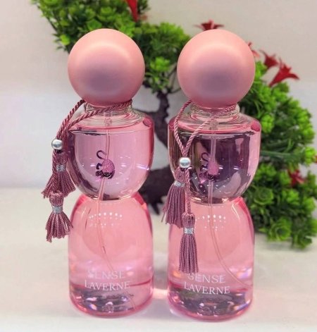 سبلاش جورجينا